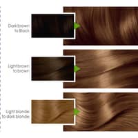 Garnier Color Naturals - 5.15 - image 3
