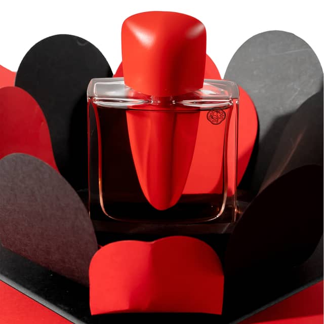 Shiseido Ginza Intense Women Perfume, Lipstick, Liner Set