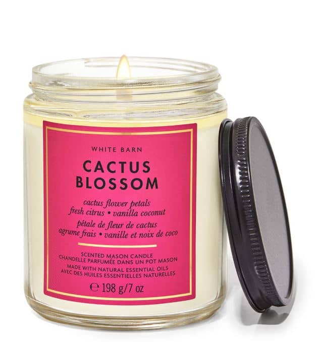 Bath And Body Works Candle Cactus Blossom 198g