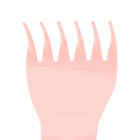 Bleuface Wide-Toothed Comb - image 4