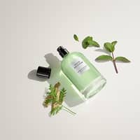 David Beckham Unisex Aromatic Greens EDP 100ml - image 4