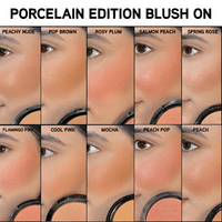 Pierre Cardin Paris Porcelain Edition Blush On - image 3