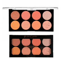 Pierre Cardin Backstage Blush Palette Terracotta - image 2