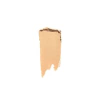 Shiseido Synchro Skin Correcting Gel Stick Concealer(Unboxed) - 102 Fair -Balanced with a slight golden tone for fair skin