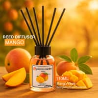 Pierre Cardin Paris Reed Diffuser 110ml - Mango