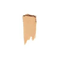 Shiseido Synchro Skin Correcting Gel Stick Concealer(Unboxed) - 202 Light -Golden tone for light skin